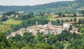 Tocht Te voet Pietralunga - Via di Francesco - Tappa 7 Pietralunga-Gubbio - Photo 8