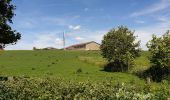 Tour Elektrofahrrad Ronse - Renaix - Ferme Dôrloû à Wodecq - Photo 14