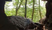 Percorso Marcia Roppeviller - Roppewiler Rochers altschlossfelsen et Diane - Photo 12
