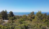 Randonnée Marche Sanary-sur-Mer - Le Gros Cervea - Photo 2