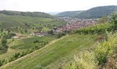 Tour Wandern Orschweier - Bollenberg - Photo 1