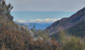 Tour Wandern Beynes - 2024-01-19 Montagne de Beynes  - Photo 1