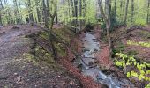 Trail Walking Spa - de la Sauveniere à la Reine, autour de Malchamps  - Photo 3