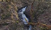 Tour Wandern Hohenfels - bernistap - Photo 1