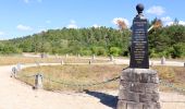 Tour Wandern Fontainebleau - Fontainebleau - Photo 5