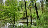 Tour Wandern Genappe - Hautain le Val 210614 - Photo 20