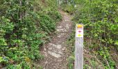 Trail Walking Havelange - Barvaux en Condroz 220425 - Photo 19