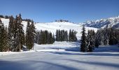 Trail Snowshoes Les Villards-sur-Thônes - Plateau de Beauregard - Photo 16