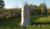 Tour Zu Fuß Bad Sulza - Himmelreich Rundweg Bad Sulza - Photo 1