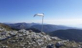 Trail Walking La Bastide - Mont Lachens depuis La Bastide - Photo 6