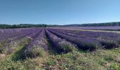 Tour Wandern Montjoyer - Montjoyer 24 06 - Photo 2