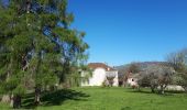 Trail Walking L'Albenc - Circuit autour de l'Albenc par Chantesse - Photo 6