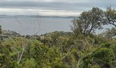 Trail Walking Le Pradet - Fort de la Bayarde-06-05-22 - Photo 4