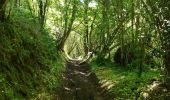 Tour Wandern Condé-en-Normandie - Condé sur Noireau - Photo 3