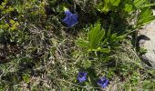 Trail Walking Pralognan-la-Vanoise - Pralognan - lac blanc  - Photo 11