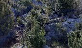 Trail Walking Vauvenargues - SAINTE VICTOIRE   VAUVENARGUES - Photo 2