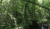 Tocht Stappen Courniou - Prouilhe et la Route forestière de la corniche - Photo 9