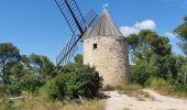Tocht Stappen Fontvieille - le moulin de Daudet - Photo 8