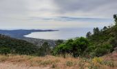 Excursión Senderismo Cavalaire-sur-Mer - rando avec serge et Ibrahim   le Pradet e retour par bonporteau - Photo 8