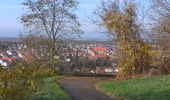 Tocht Te voet Wiesloch - Weinwanderweg Mannaberg - Photo 1