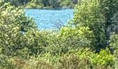 Trail Walking Le Broc - Au bord du var 06 - Photo 4