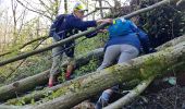 Tocht Stappen Hastière - Hastiere Gendron - Photo 19