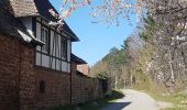 Tour Wandern Bad Niederbronn - Grand Wintersberg & plan d'eau Wolfartshoffen - Photo 16