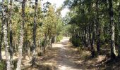 Trail On foot Rascafría - [RV 6.2] Cascadas del Purgatorio - Photo 5