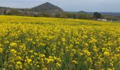 Tour Wandern Châtelet - Marche éphémères Ecureuil - Photo 5