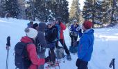 Tocht Sneeuwschoenen Les Rousses - Noirmont et mont Sala Suisse - Photo 10