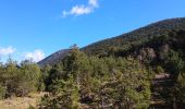 Tour Wandern Valderoure - Sommet du Beauroux : panoramique et champignons - Photo 9