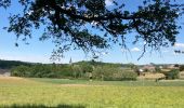 Tour Wandern Somme-Leuze - Sentiers d’Art / Boucle Heure-Nettinne / 2020-06-01 / 17 km - Photo 1