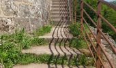 Excursión Senderismo Andlau - Les châteaux d'Andlau et le vignoble de Mittelbergheim. - Photo 20