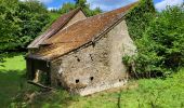 Randonnée Marche Meix-devant-Virton - Gerouville 060723 - Photo 14