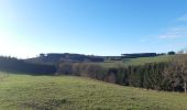 Tour Wandern Lierneux - lierneux . promenade aérienne dans la vallee de la lienne - Photo 11