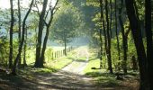Tour Zu Fuß Ede - Kernhem - Photo 6