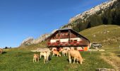 Excursión Senderismo Le Reposoir - Montée au Petit Bargy - Photo 1