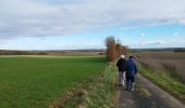 Tocht Stappen Ligné - La balade de Ligné - Photo 7