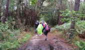 Tocht Stappen Canéjan - lestonnat - Photo 3