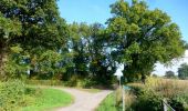 Randonnée A pied Forest of Dean - Poets' Path No 2 - Photo 7