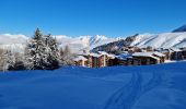 Randonnée Raquettes à neige La Plagne-Tarentaise - La Plagne Village, Col de la grande Forcle, Dou du Praz, La Bergerie, La Plagne Village. - Photo 4