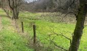 Percorso A piedi Büllingen - Balade des Jonquilles Krinkelt 12 Km - Photo 15