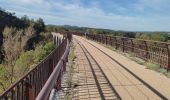 Excursión Cicloturismo Vogüé - Vogüé Vignobles et un Dolmen  - Photo 4