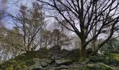 Tour Wandern Durbuy - ballade autour des menhirs, dolmens et pierres de légendes de Weris - Photo 15