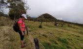 Tour Wandern Le Tampon - Piton de l'eau par le Rempart de la Rivière de l'Est - Photo 4