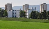 Tour Zu Fuß Regensdorf - Regensdorf Bahnhof - Höngg - Photo 3