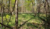 Excursión Senderismo Igny - Vauboyen depuis Igny et la forêt de Verrieres - Photo 7