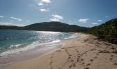 Excursión Senderismo Le Vauclin - Petite Anse Macabou - Pointe Marée - Photo 1