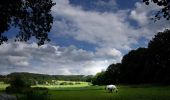 Tour Zu Fuß Marienheide - Rundweg A6 (Schmitzwipper) - Photo 1