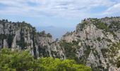 Trail Walking Cassis - Calanques de Port Miou, Port Pin et d'En Vau - Photo 9